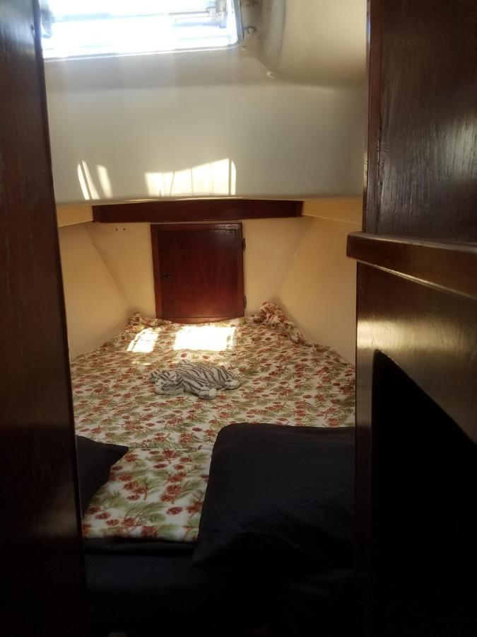 迈阿密 Unique Perspective酒店 外观 照片